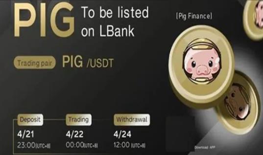 pig币交易所app手机端 pig币交易所怎么玩