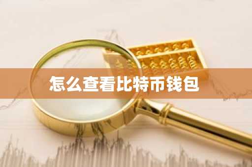 怎么查看比特币钱包