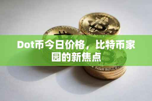 Dot币今日价格，比特币家园的新焦点