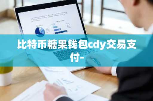 比特币糖果钱包cdy交易支付-