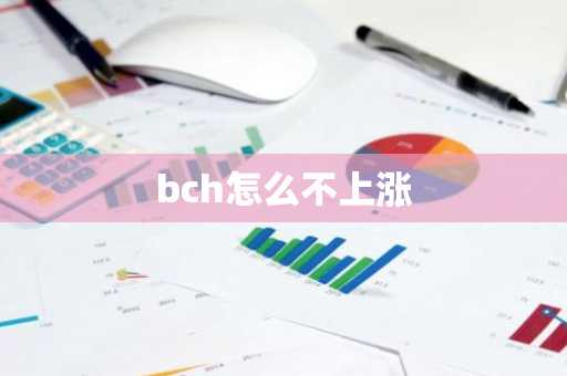 bch怎么不上涨