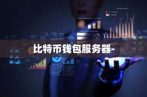 比特币钱包服务器-