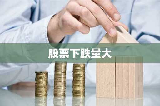 股票下跌量大