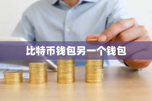 比特币钱包另一个钱包
