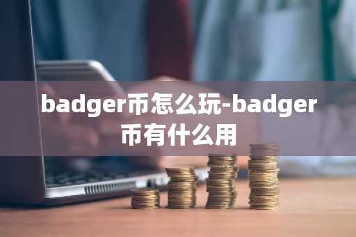 badger币怎么玩-badger币有什么用