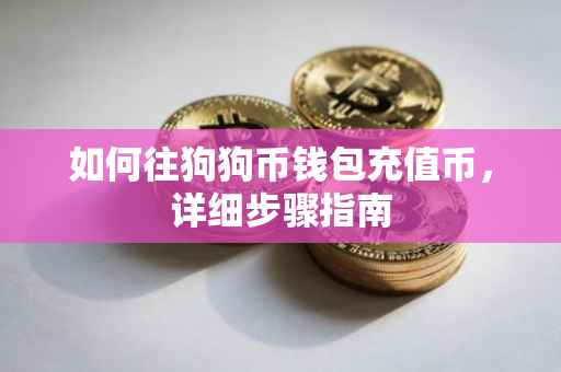 如何往狗狗币钱包充值币，详细步骤指南