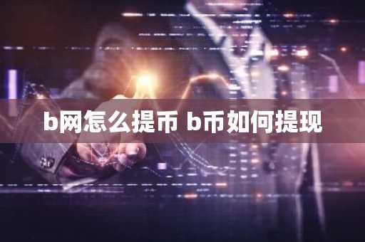b网怎么提币 b币如何提现