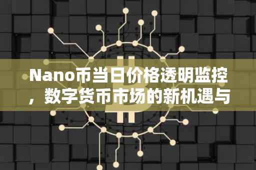 Nano币当日价格透明监控，数字货币市场的新机遇与挑战