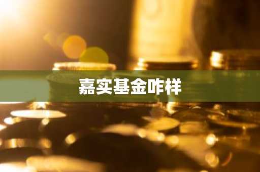嘉实基金咋样