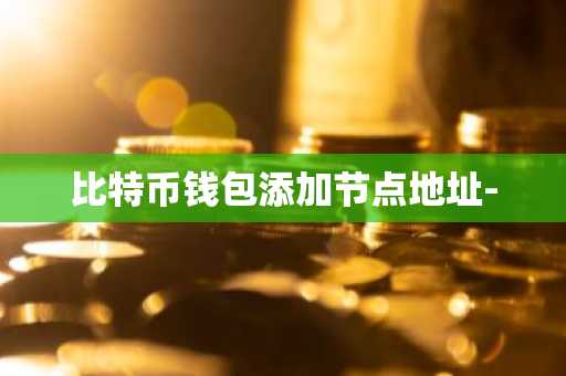比特币钱包添加节点地址-