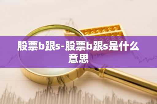 股票b跟s-股票b跟s是什么意思