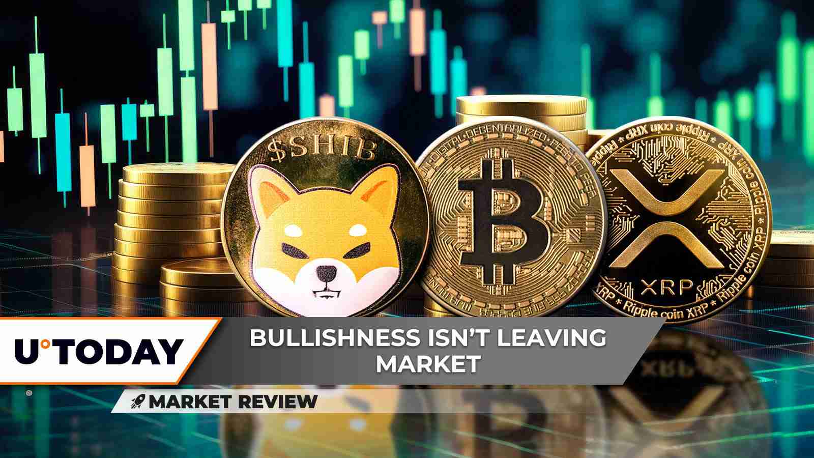 柴犬币、比特币价格、XRP前景：驾驭加密货币浪潮