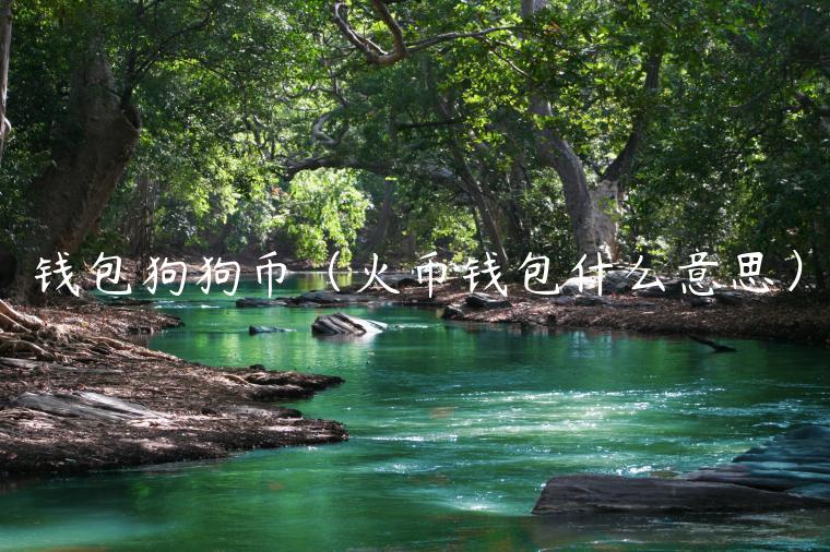 钱包狗狗币（火币钱包什么意思）