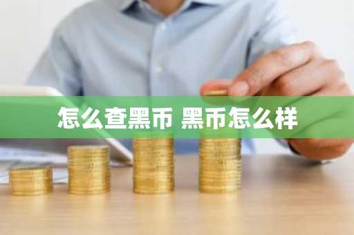怎么查黑币 黑币怎么样