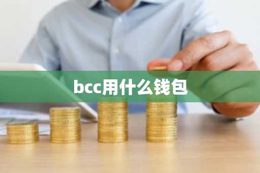 bcc用什么钱包