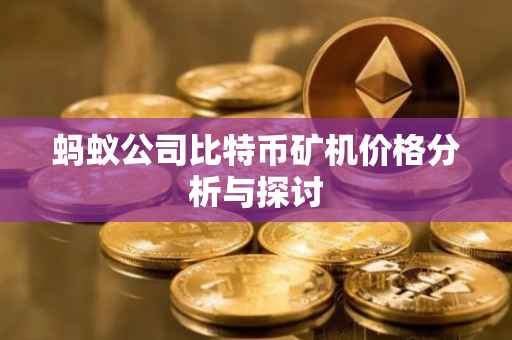 蚂蚁公司比特币矿机价格分析与探讨