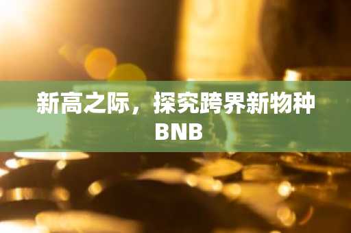 新高之际，探究跨界新物种 BNB