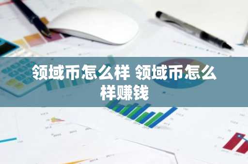 领域币怎么样 领域币怎么样赚钱