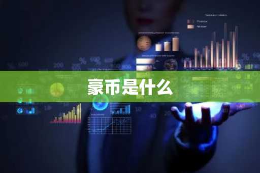 豪币是什么