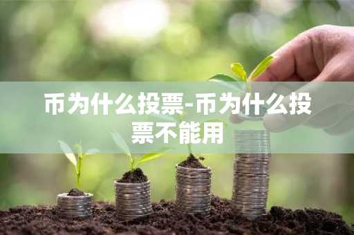 币为什么投票-币为什么投票不能用