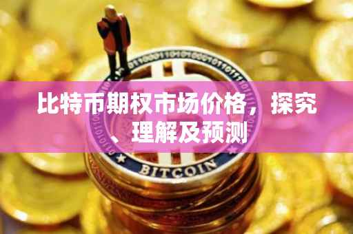比特币期权市场价格，探究、理解及预测