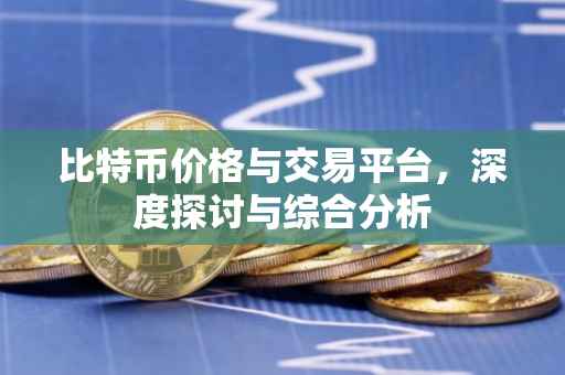 比特币价格与交易平台，深度探讨与综合分析