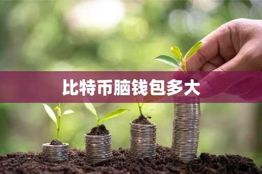 比特币脑钱包多大
