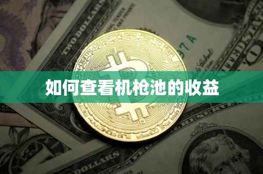 如何查看机枪池的收益