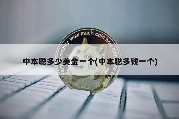 中本聪多少美金一个(中本聪多钱一个)