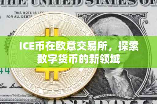 ICE币在欧意交易所，探索数字货币的新领域