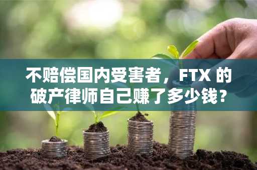 不赔偿国内受害者，FTX 的破产律师自己赚了多少钱？