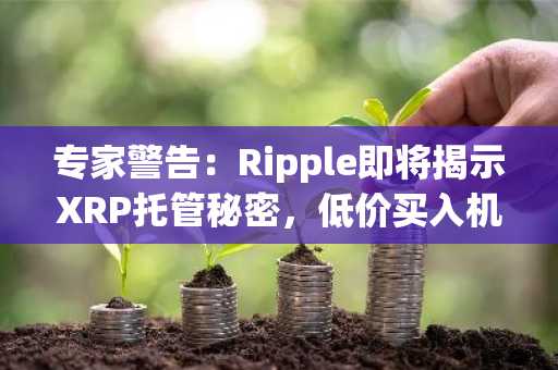 专家警告：Ripple即将揭示XRP托管秘密，低价买入机会或将终结