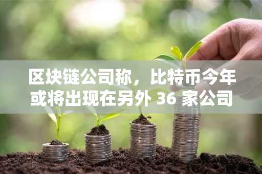 区块链公司称，比特币今年或将出现在另外 36 家公司的资产负债表上