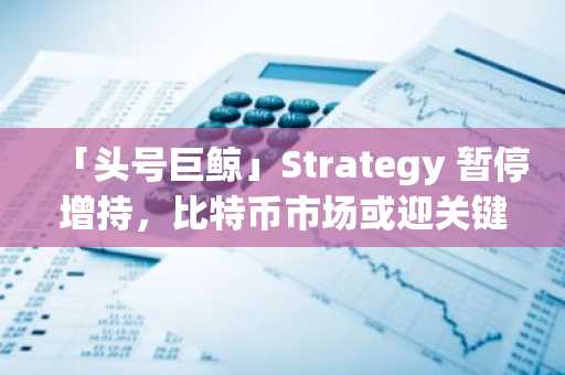 「头号巨鲸」Strategy 暂停增持，比特币市场或迎关键节点