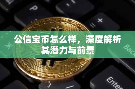 公信宝币怎么样，深度解析其潜力与前景