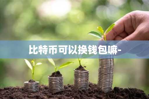比特币可以换钱包嘛-