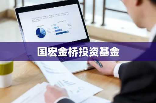 国宏金桥投资基金