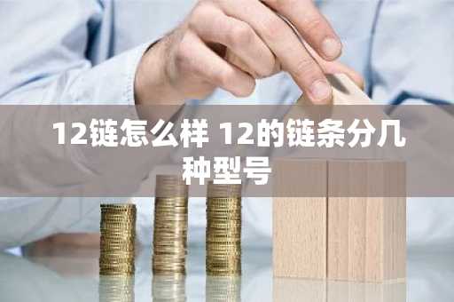 12链怎么样 12的链条分几种型号