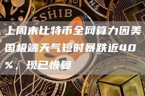 上周末比特币全网算力因美国极端天气短时暴跌近40%，现已恢复