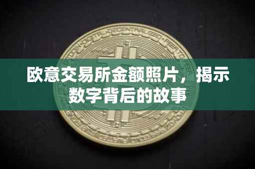 欧意交易所金额照片，揭示数字背后的故事