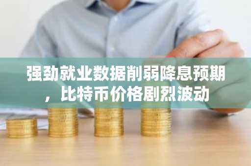 强劲就业数据削弱降息预期，比特币价格剧烈波动