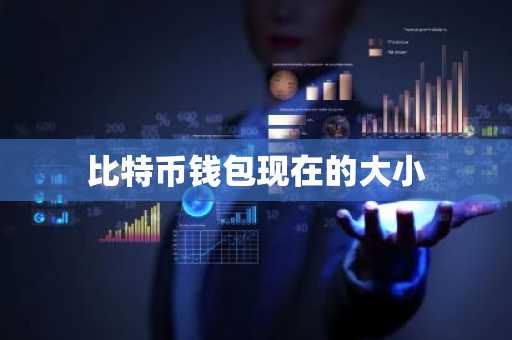 比特币钱包现在的大小
