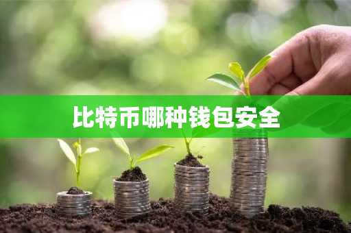 比特币哪种钱包安全