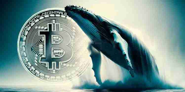AI姨独家：8011万美金BTC空单背后 或藏华尔街对冲基金操作模式