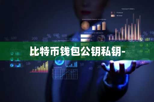 比特币钱包公钥私钥-