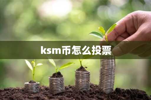 ksm币怎么投票