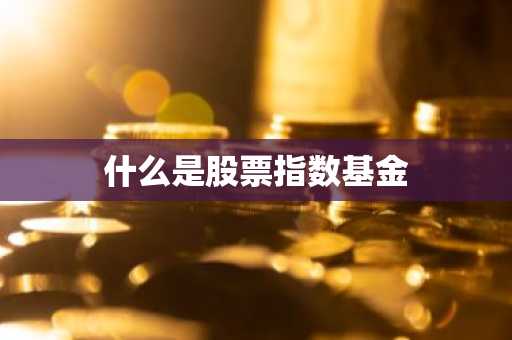 什么是股票指数基金