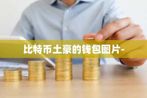 比特币土豪的钱包图片-
