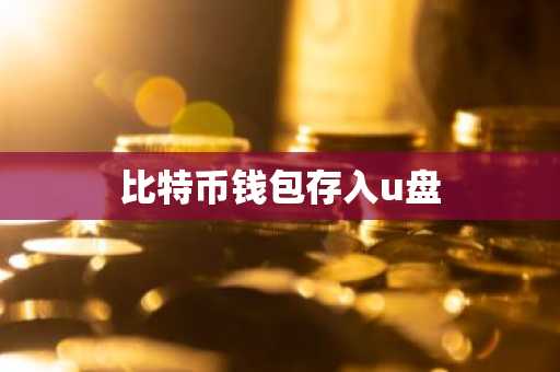 比特币钱包存入u盘