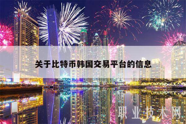 关于比特币韩国交易平台的信息-第1张图片-欧意易易下载